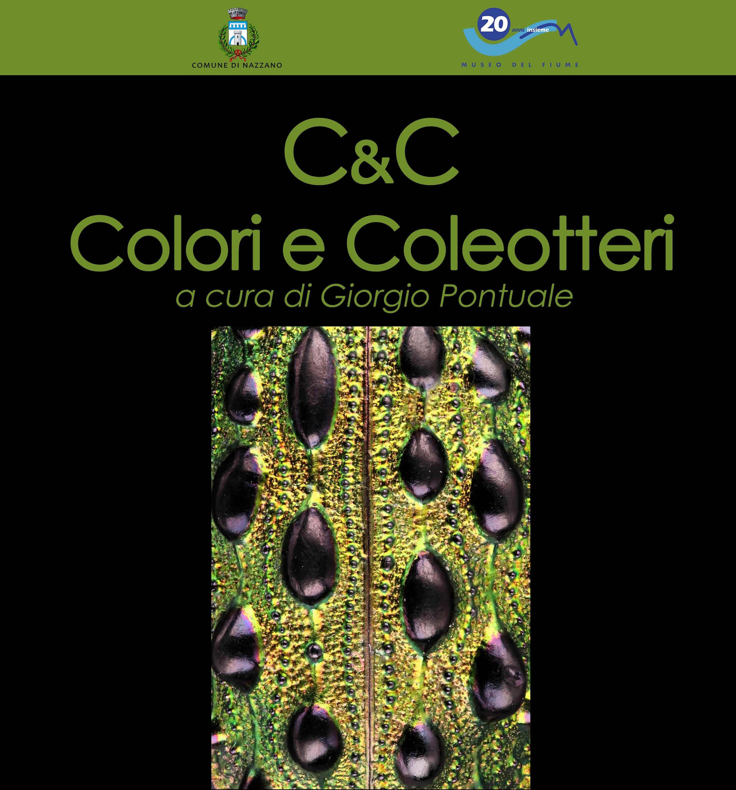 Mostra C&C Colori e Coleotteri