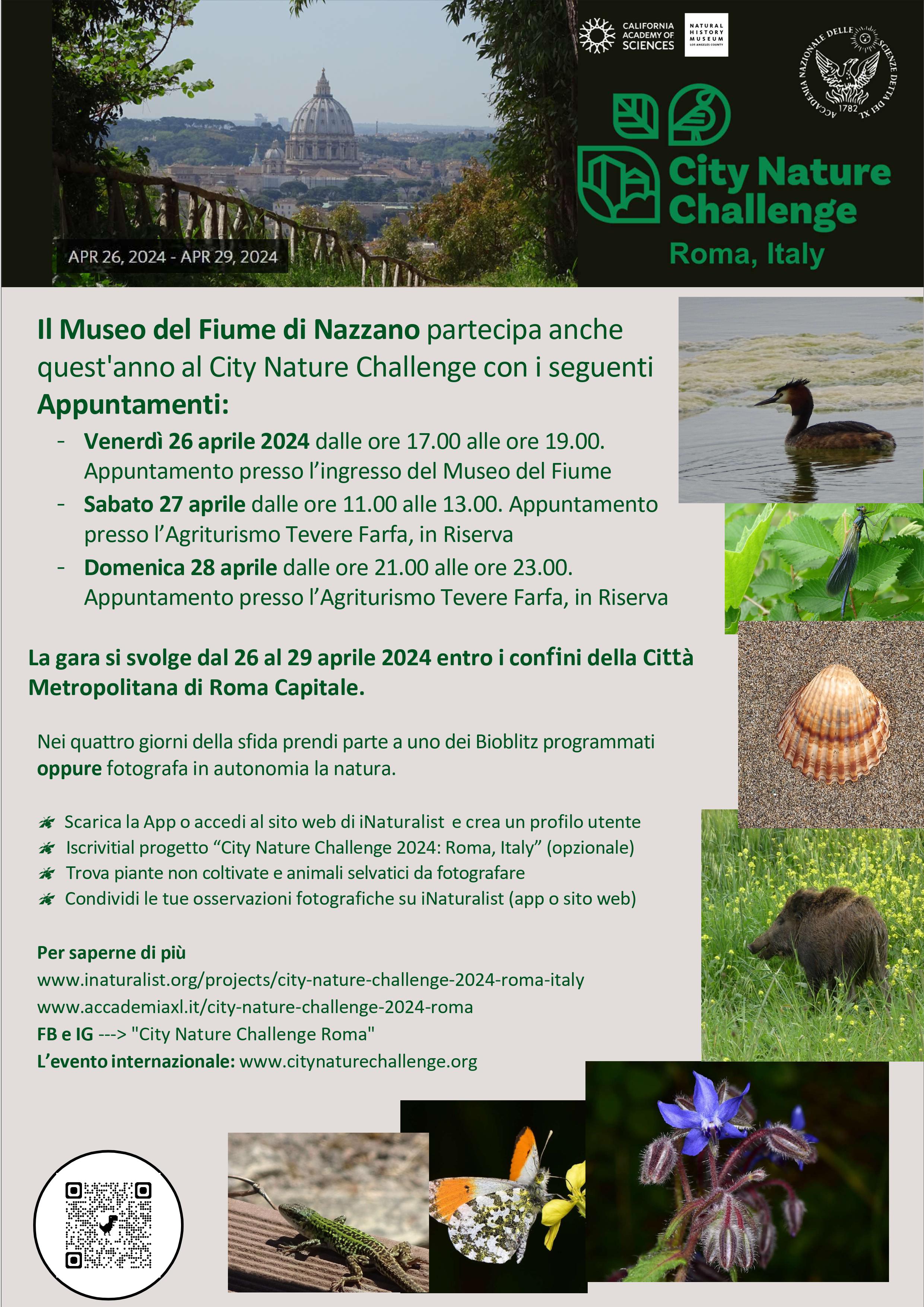 City Challenge Nature 2024